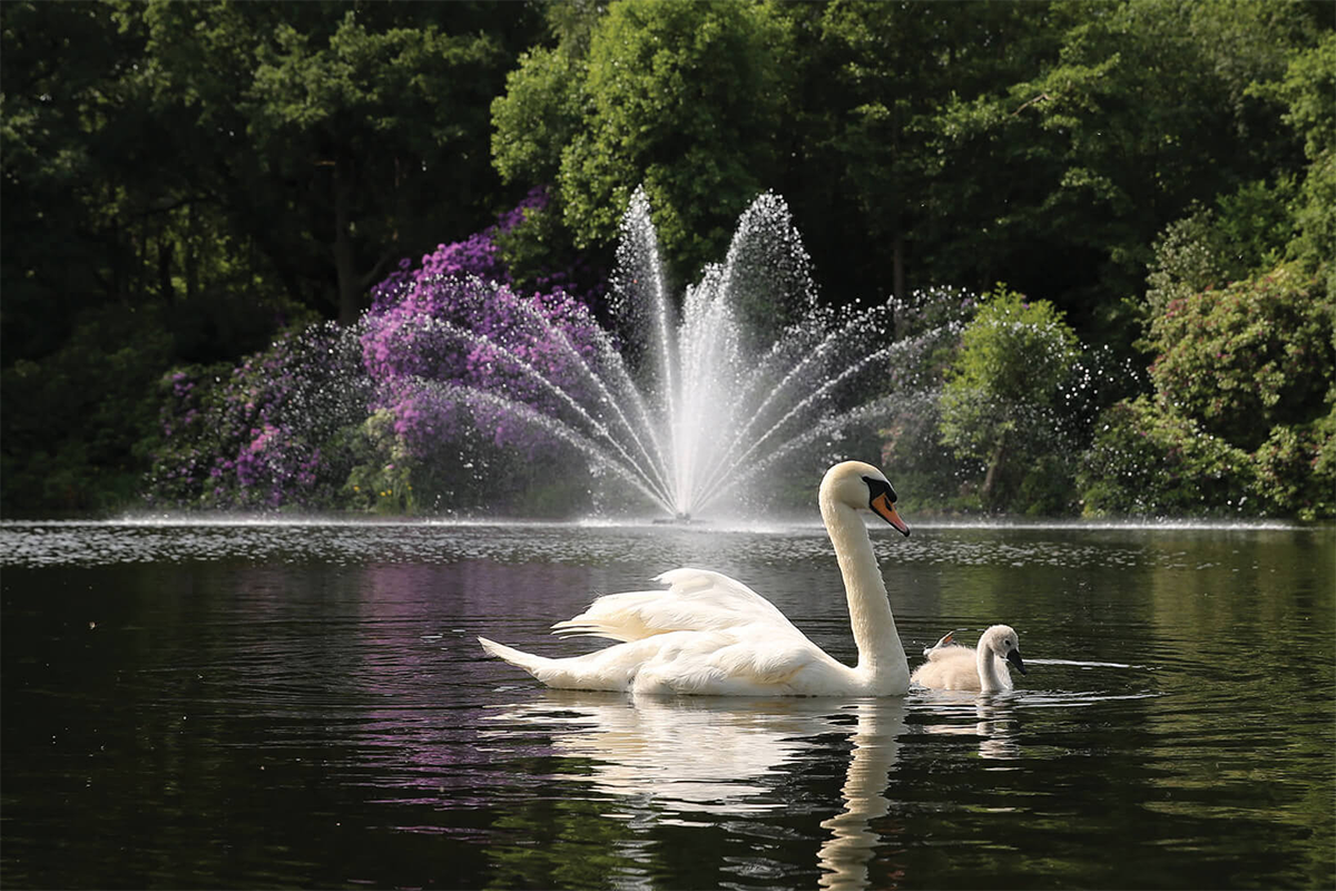 Equinox Floating Lake Fountains